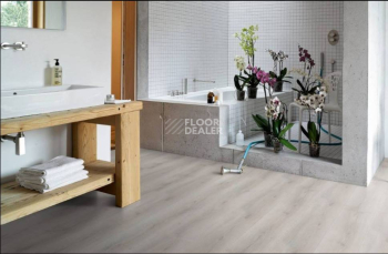 Parador Basic Plus 600 XS 1593828 Дуб Аскада Выбеленный фото 2 | FLOORDEALER